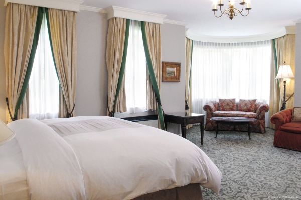 Castle Hotel and Spa